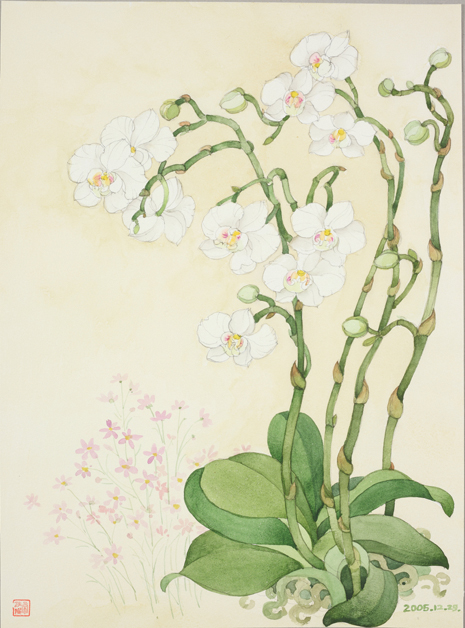 蝴蝶兰