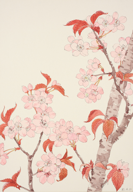 花卉