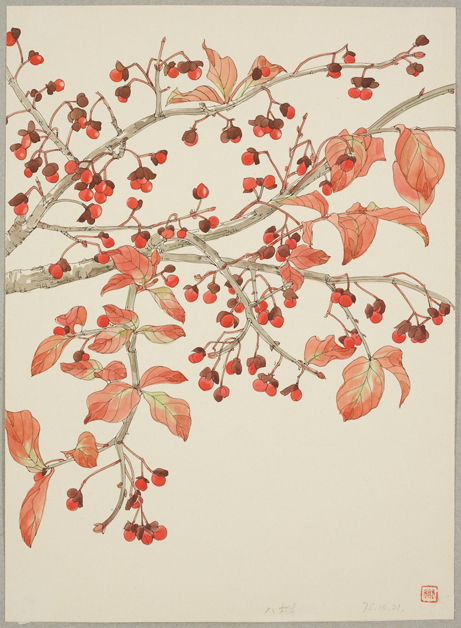 八树(花椒树)
