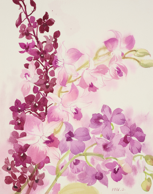 花卉